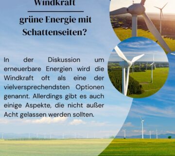 Windkraft grüne Energie mit Schattenseiten? ✅🍃